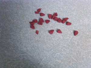 annato seeds